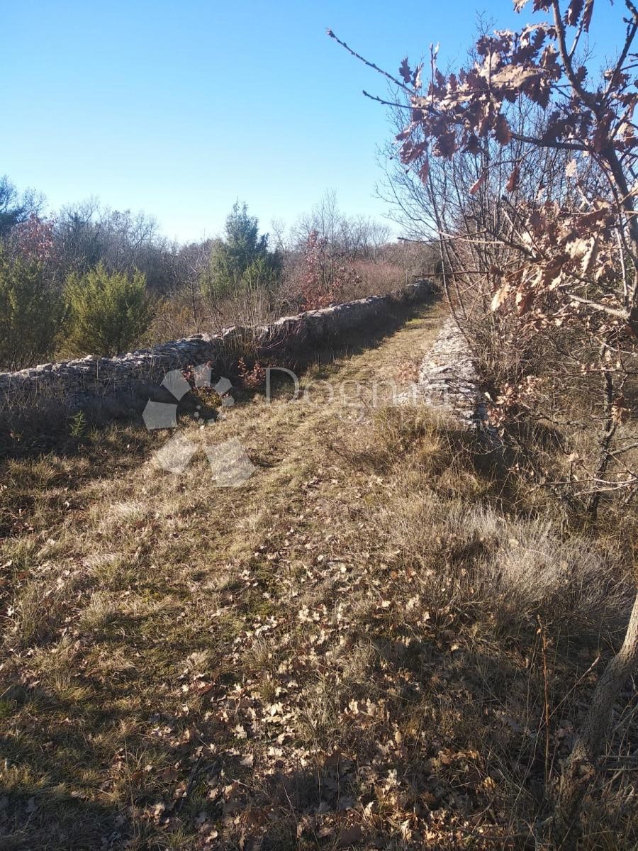 ŠTOKOVCI