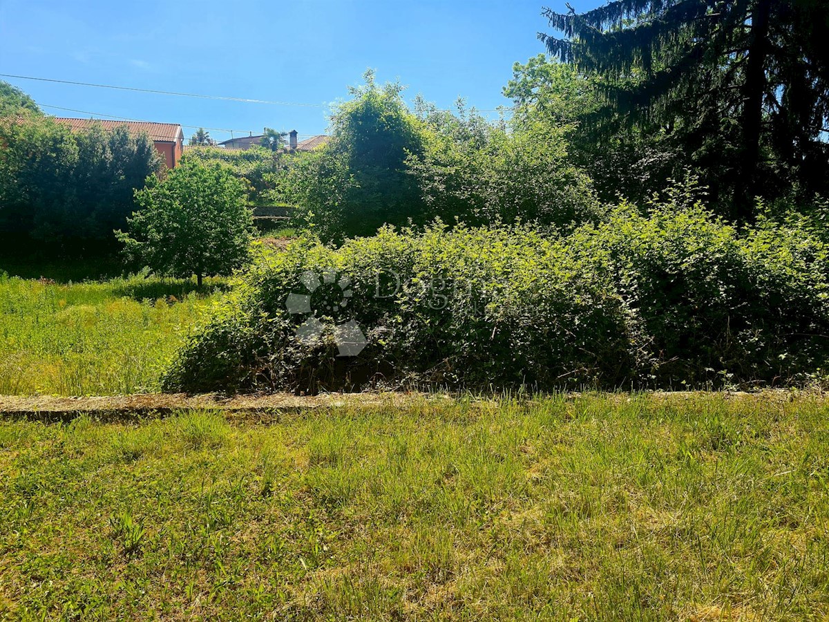 POLJANE
