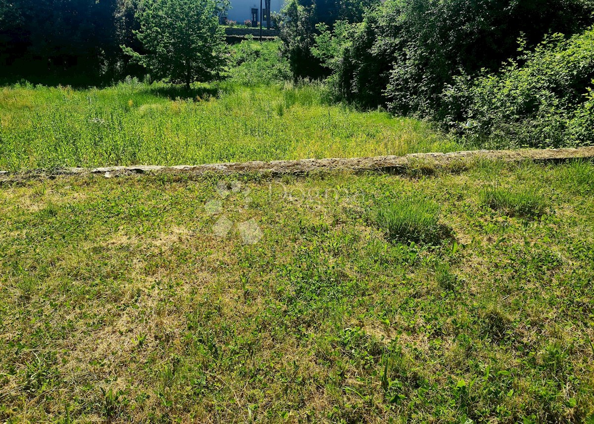 POLJANE