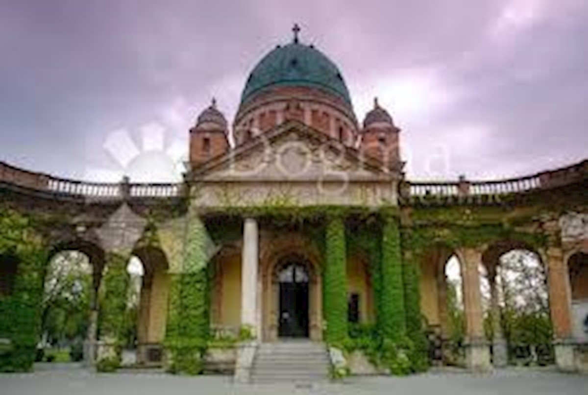 MIROGOJ