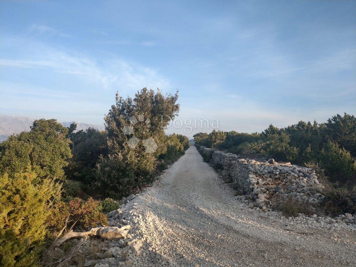 PUČIŠĆA