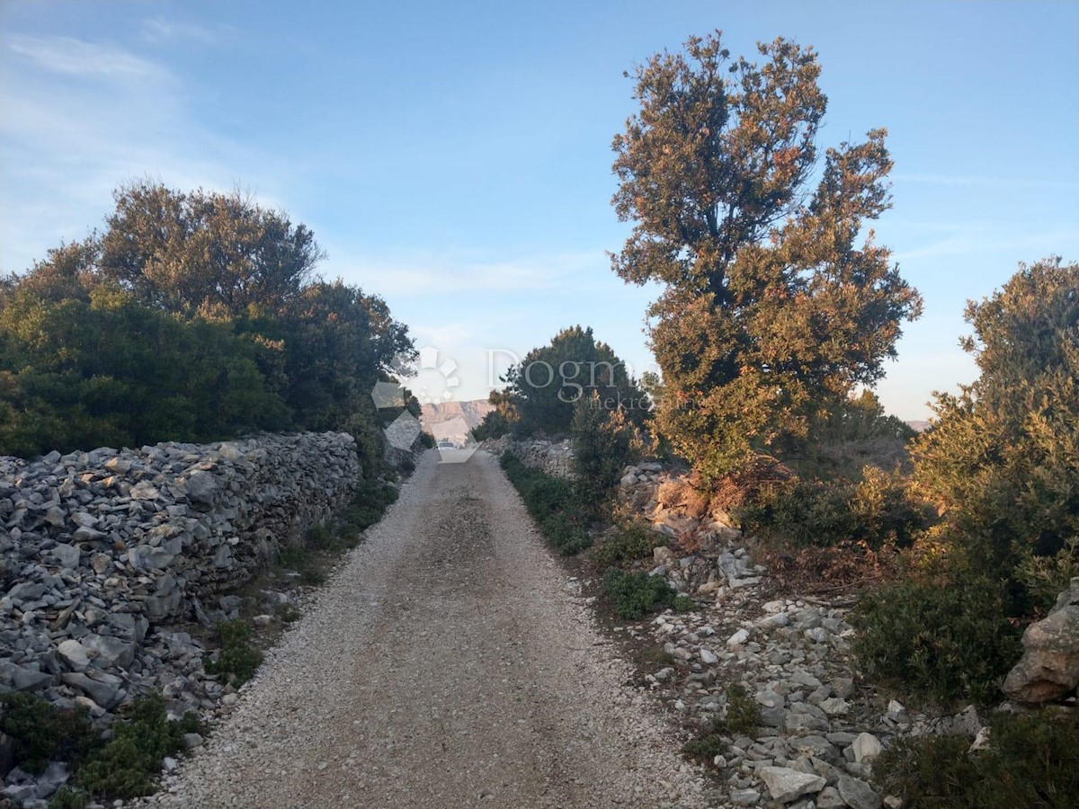 PUČIŠĆA