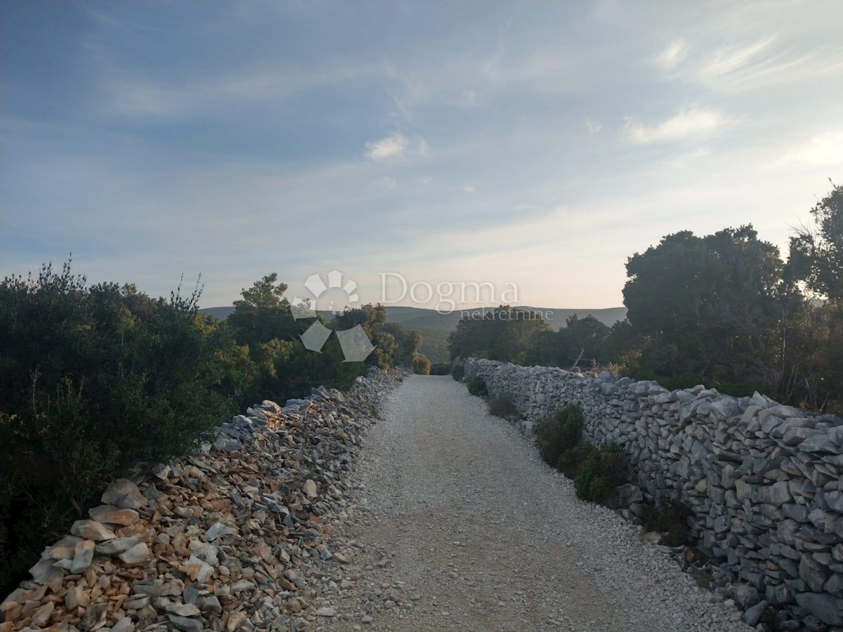 PUČIŠĆA