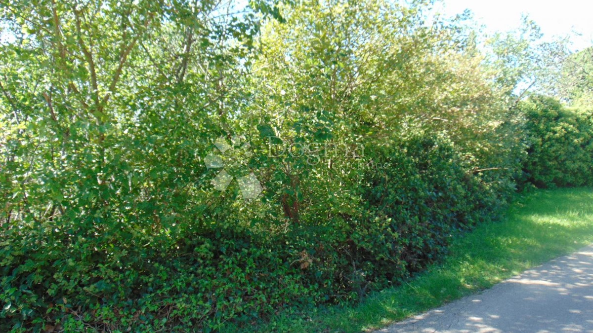 FILIPANA