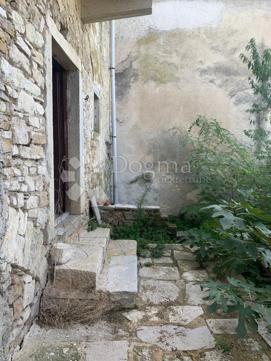 MOTOVUN