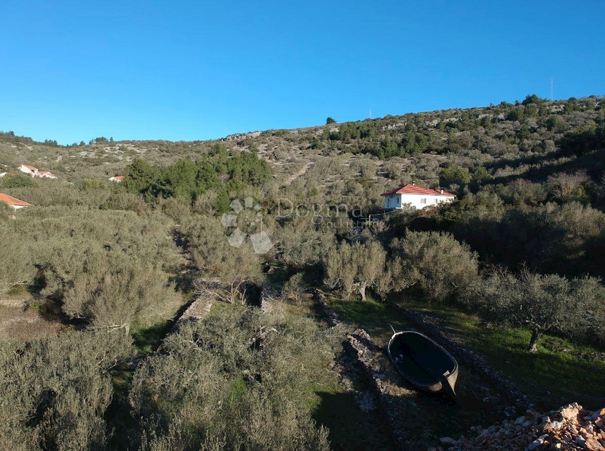 VELA LUKA
