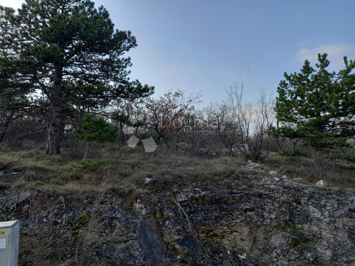 KRALJEVICA