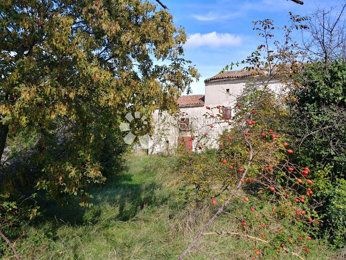 VODNJAN