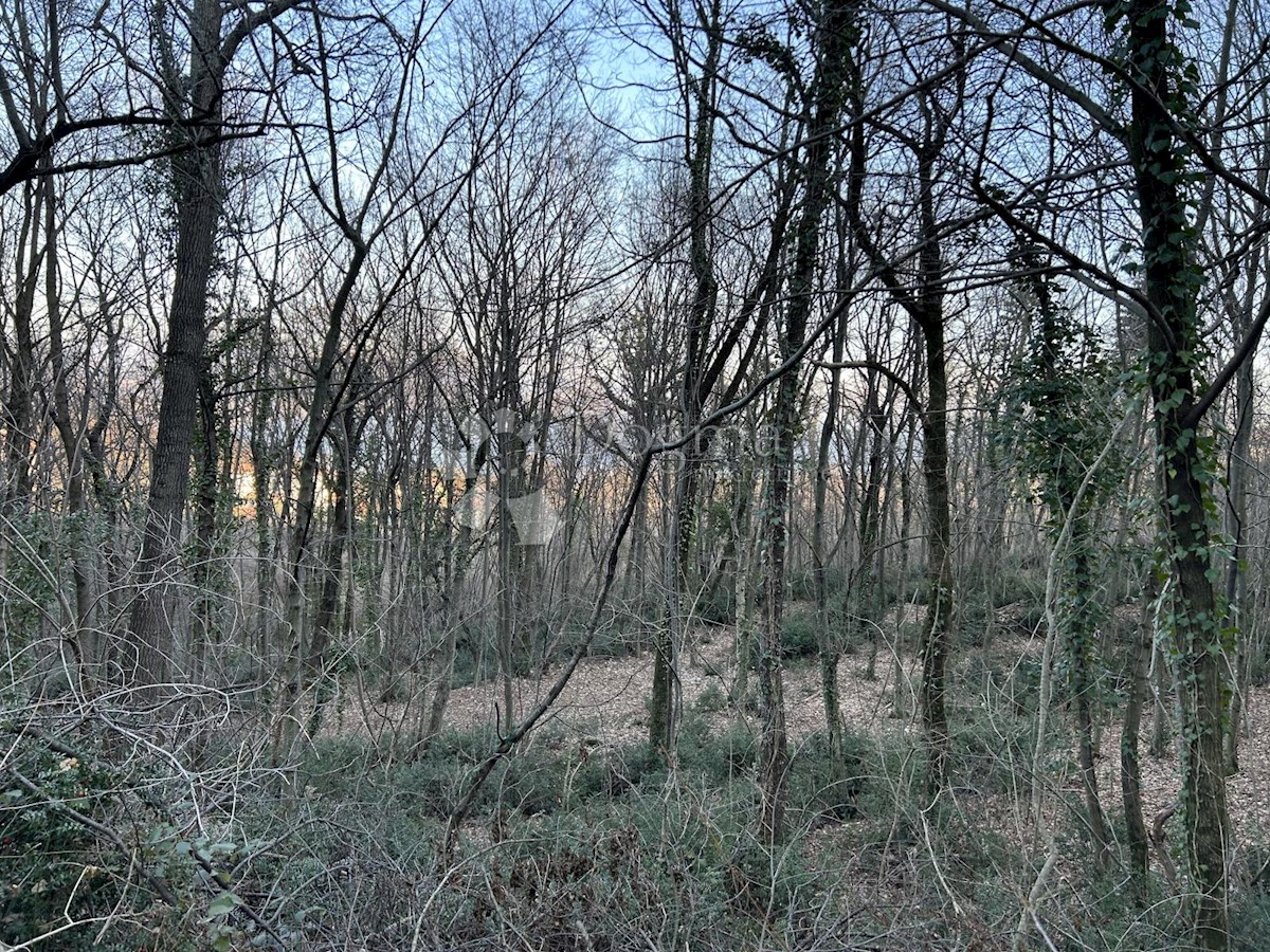VEPRINAC