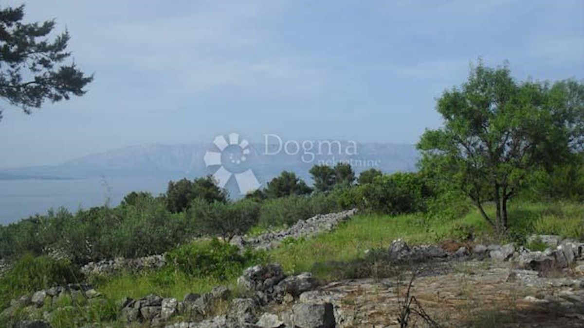 ZASTRAŽIŠĆE