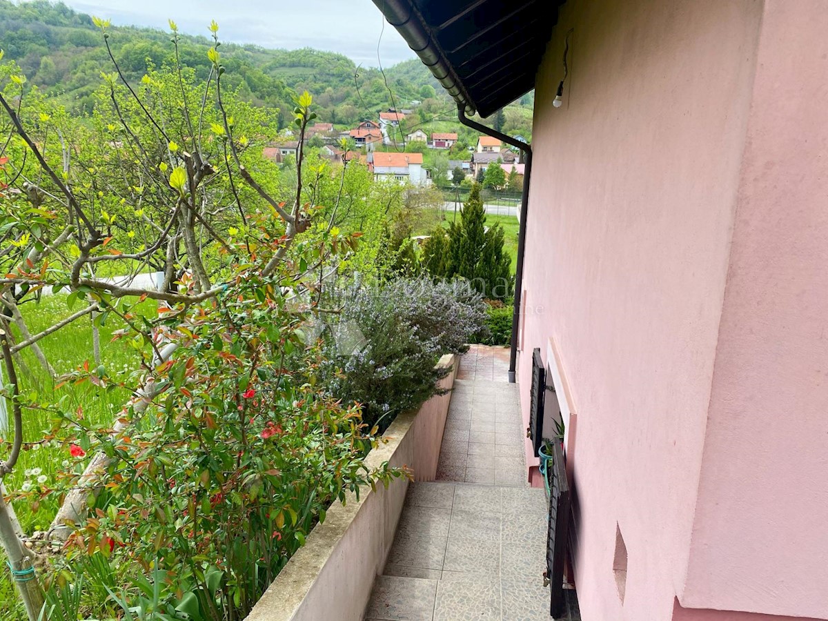 KAŠINA