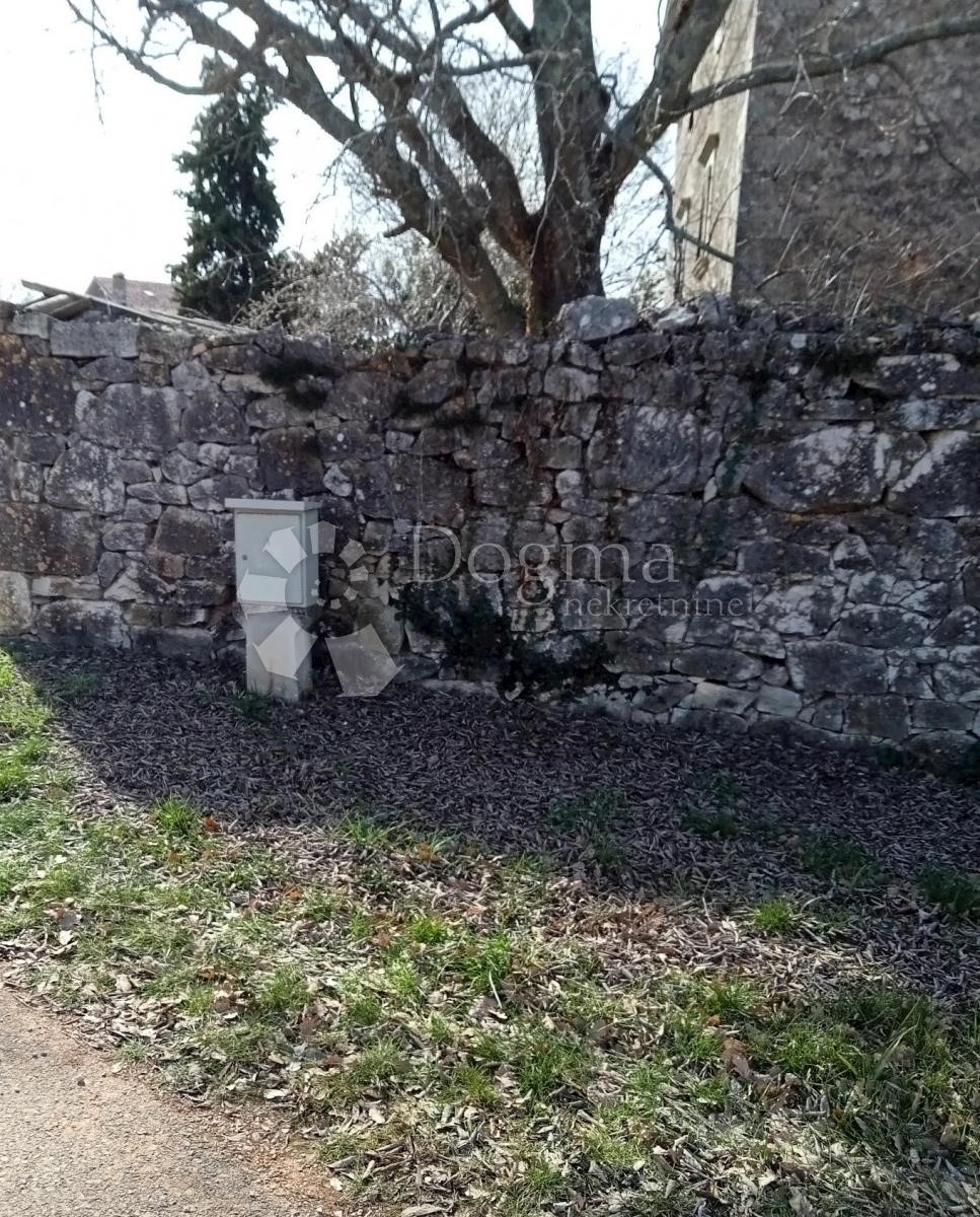 ŽIKOVIĆI