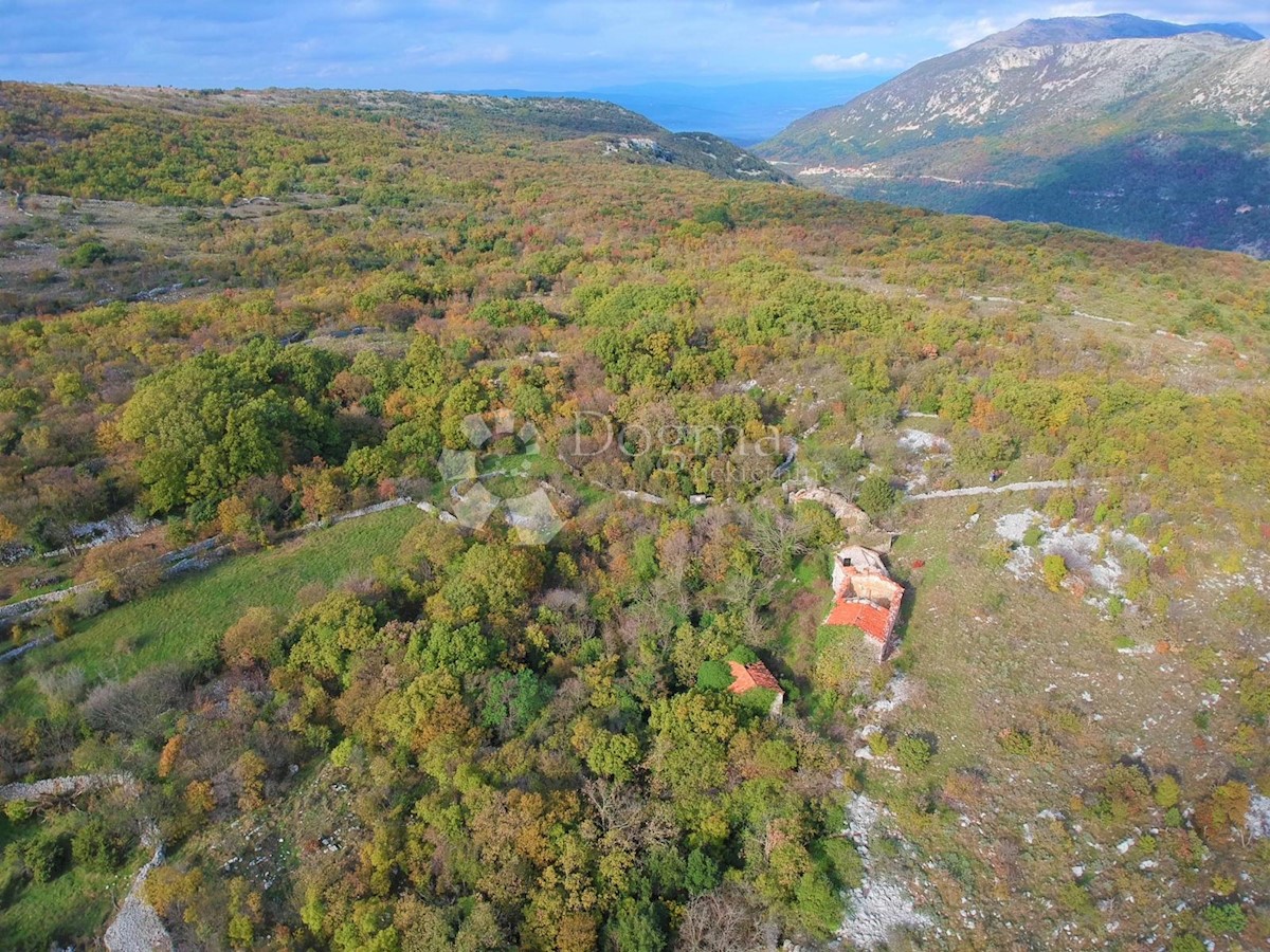 RABAC
