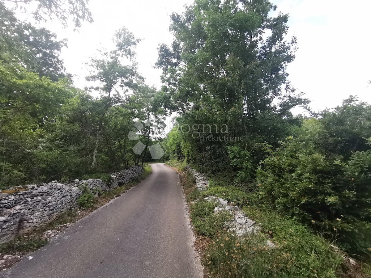 KRINGA