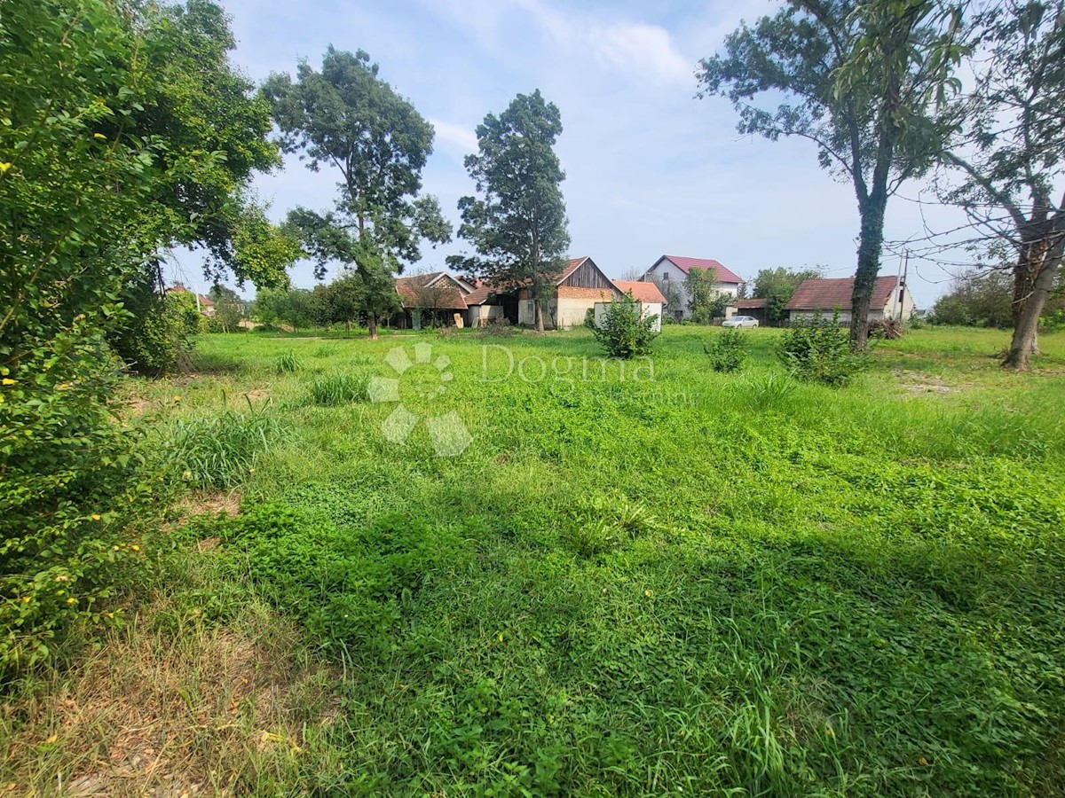 RUGVICA
