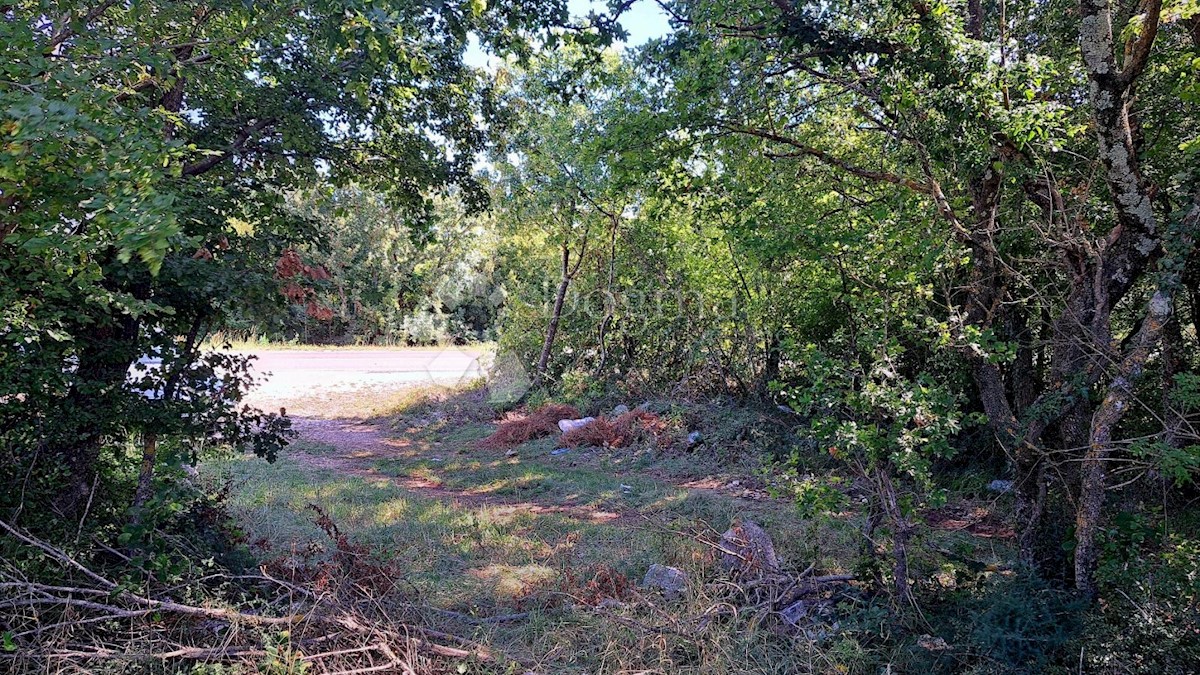 BARBAN