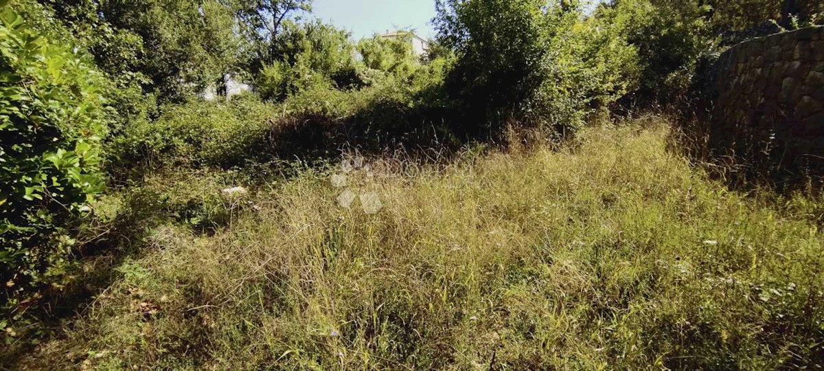 MALINSKA