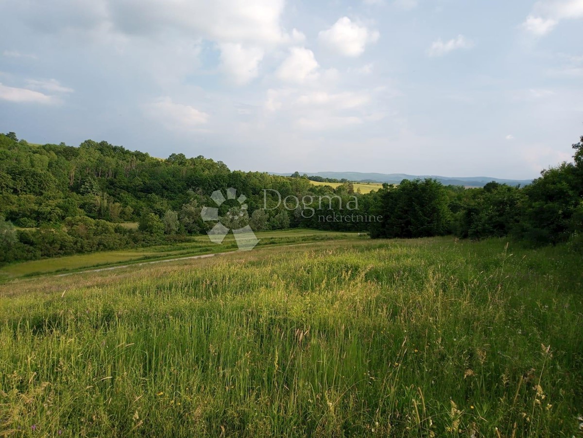 NOVA LJESKOVICA