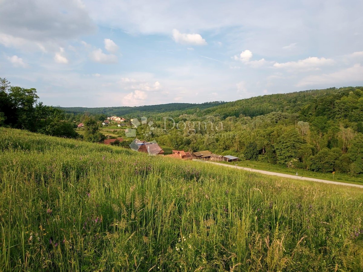 NOVA LJESKOVICA