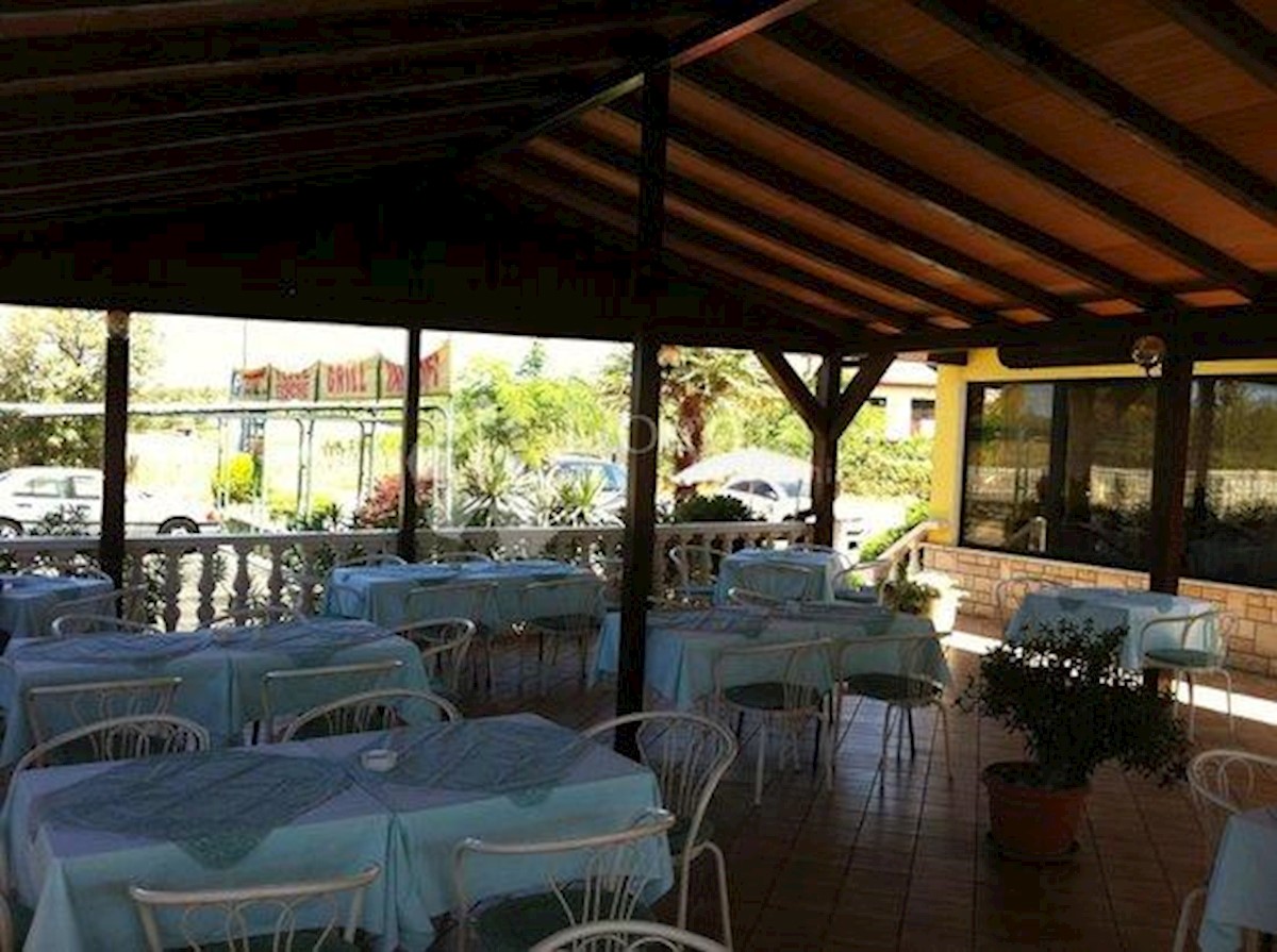 UMAG