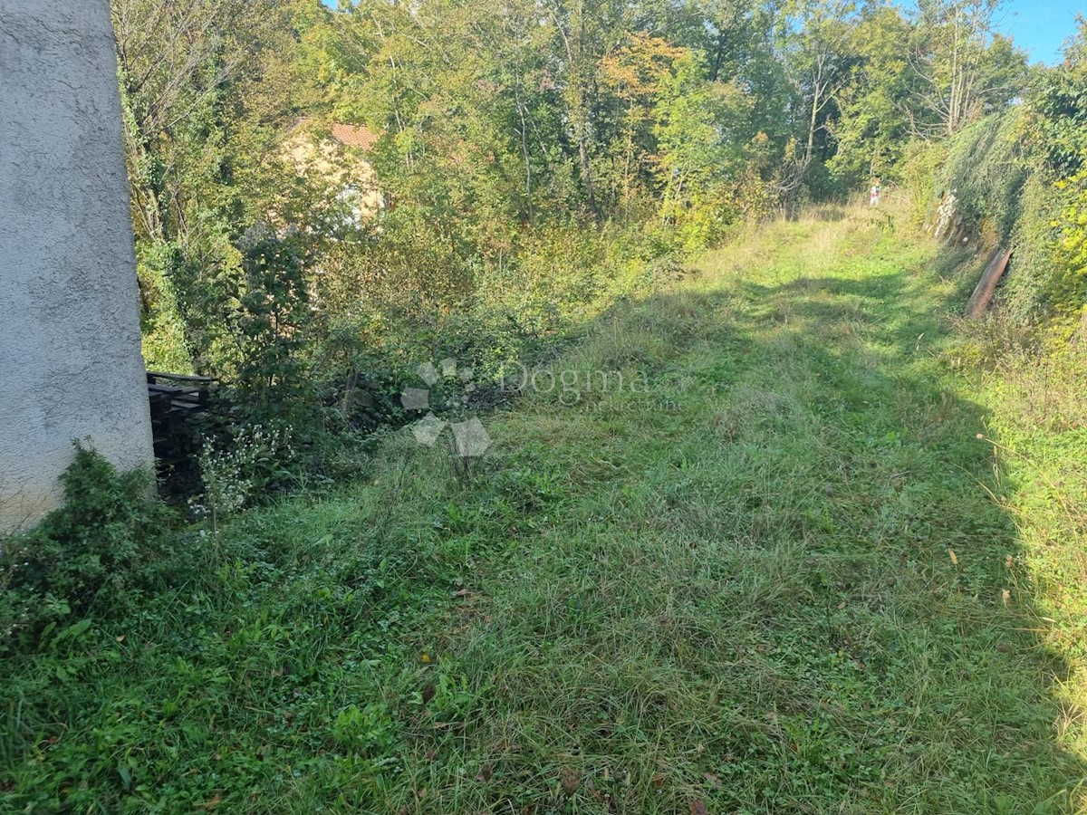 SARŠONI
