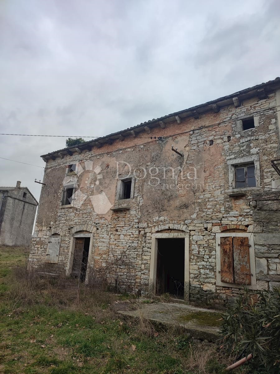 ŠAJINI
