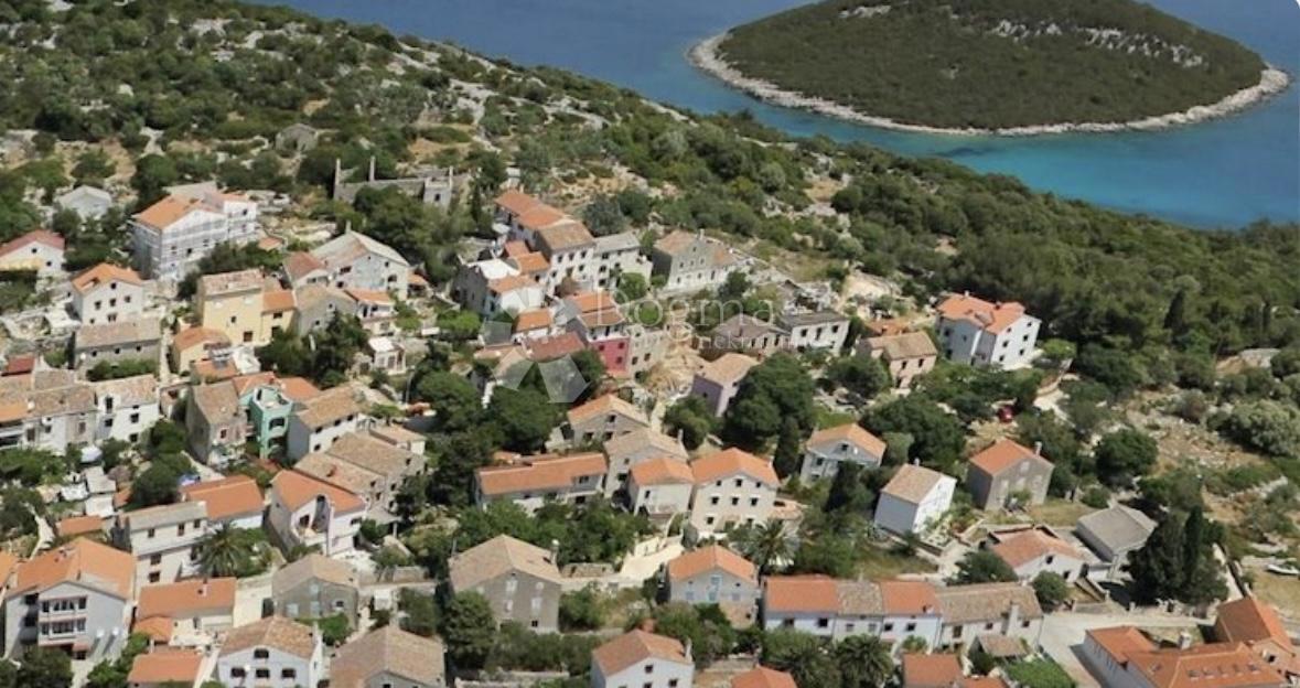 ĆUNSKI