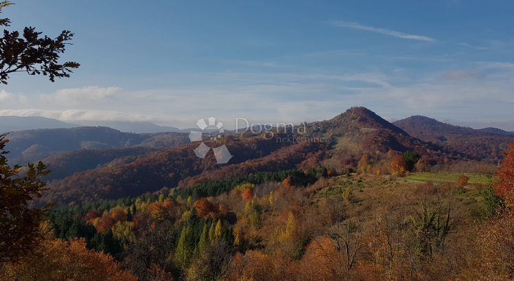 MODRUŠ
