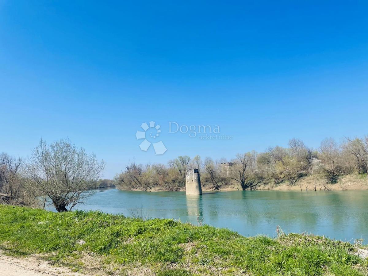 BROĐANI