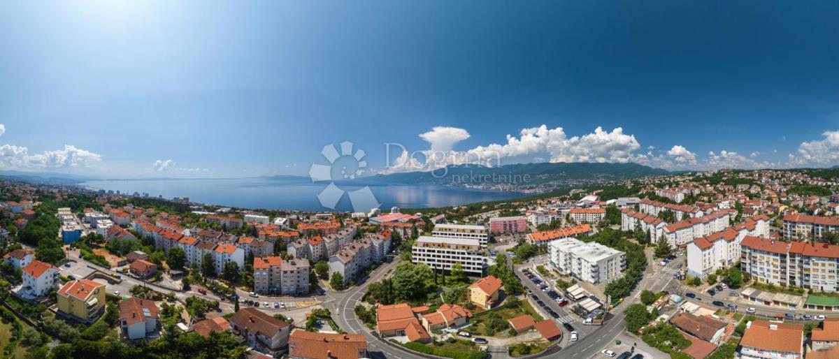 SRDOČI