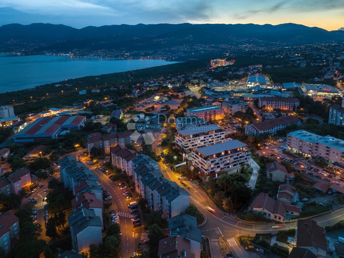 SRDOČI