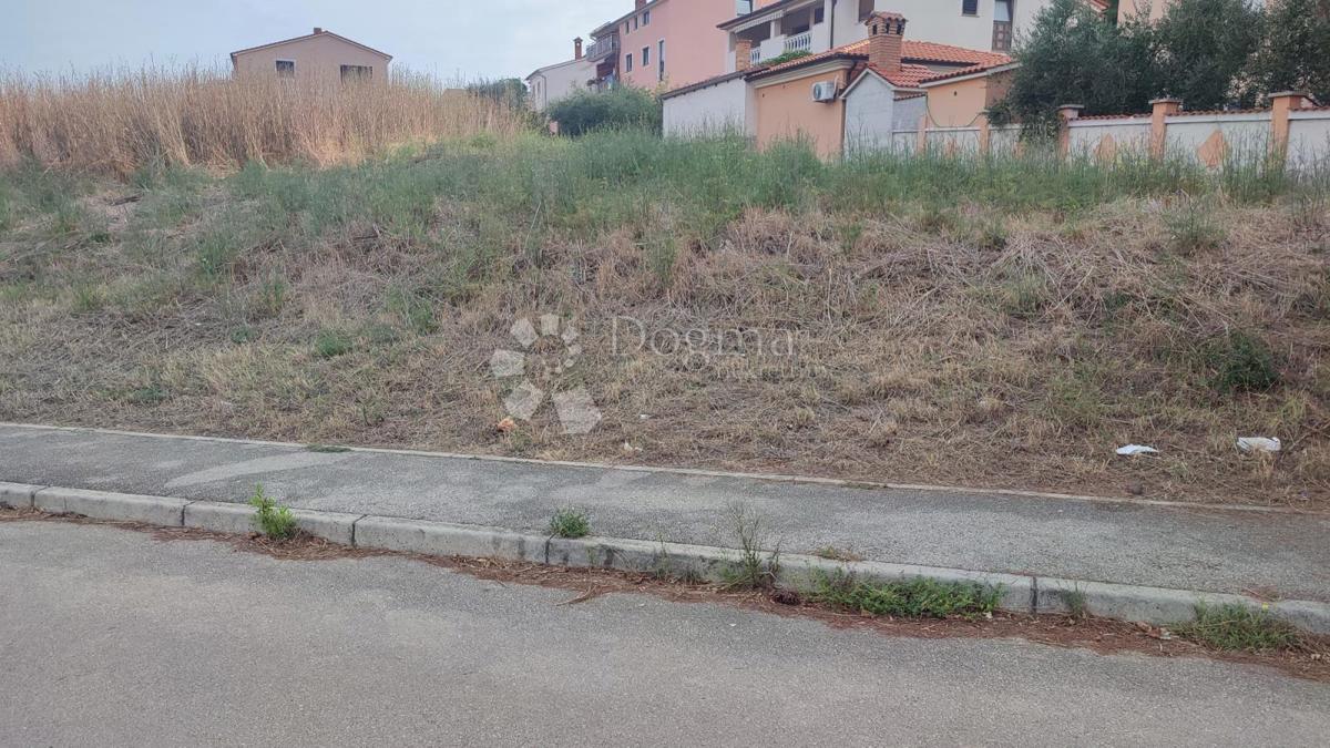 GALIŽANA