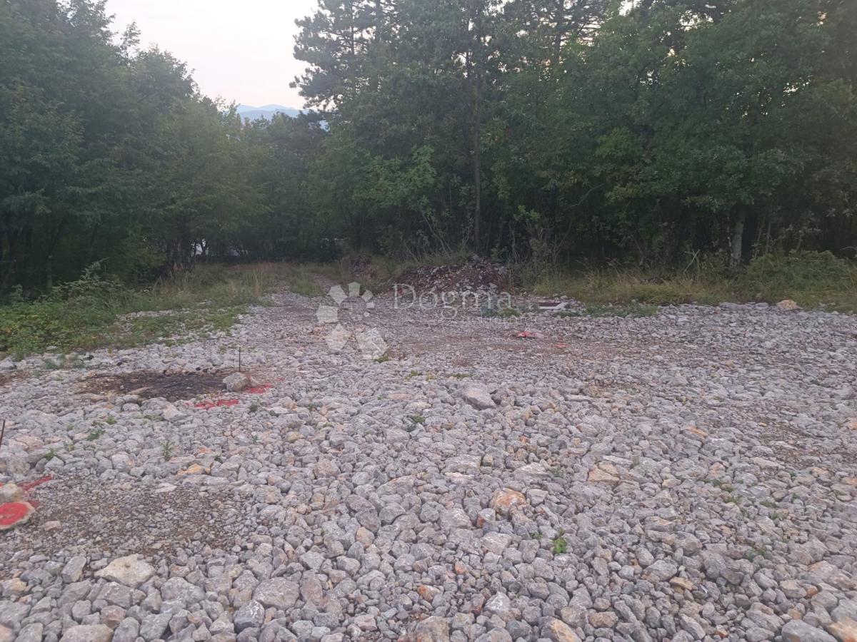 ŠKALNICA