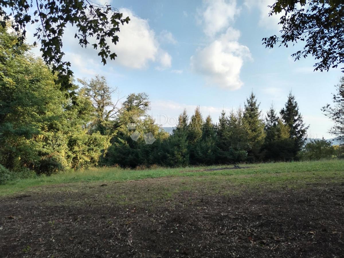 BEDNJA