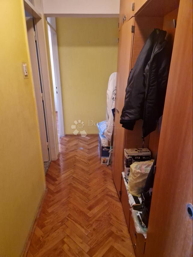 KNEŽIJA