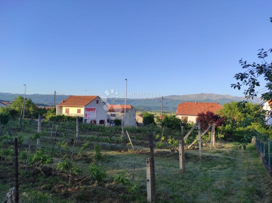 BRNAZE