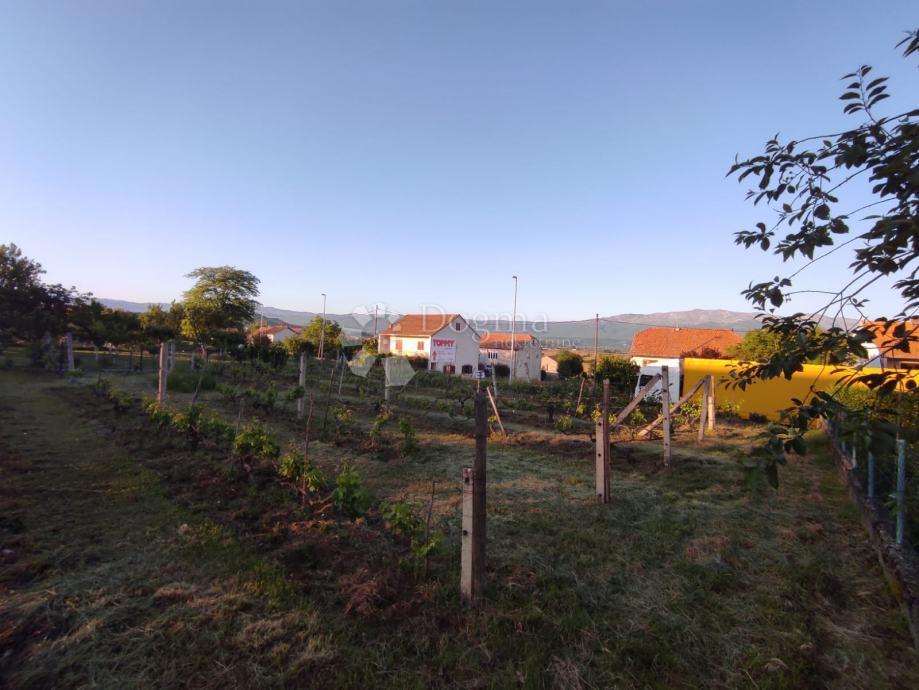 BRNAZE