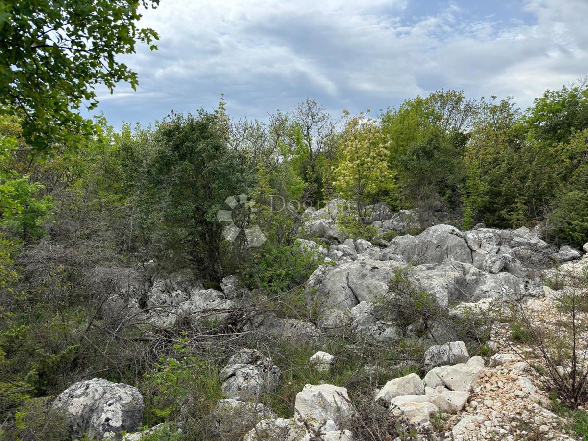 ŽEŽEVICA