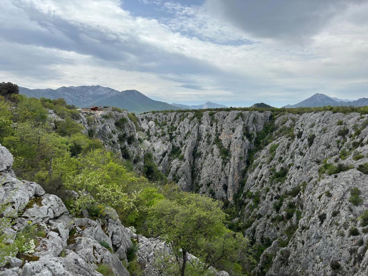 ŽEŽEVICA