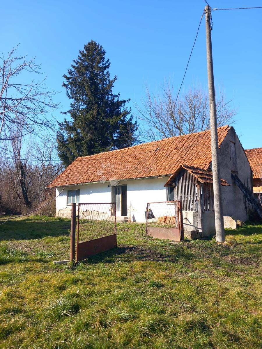KAČKOVEC