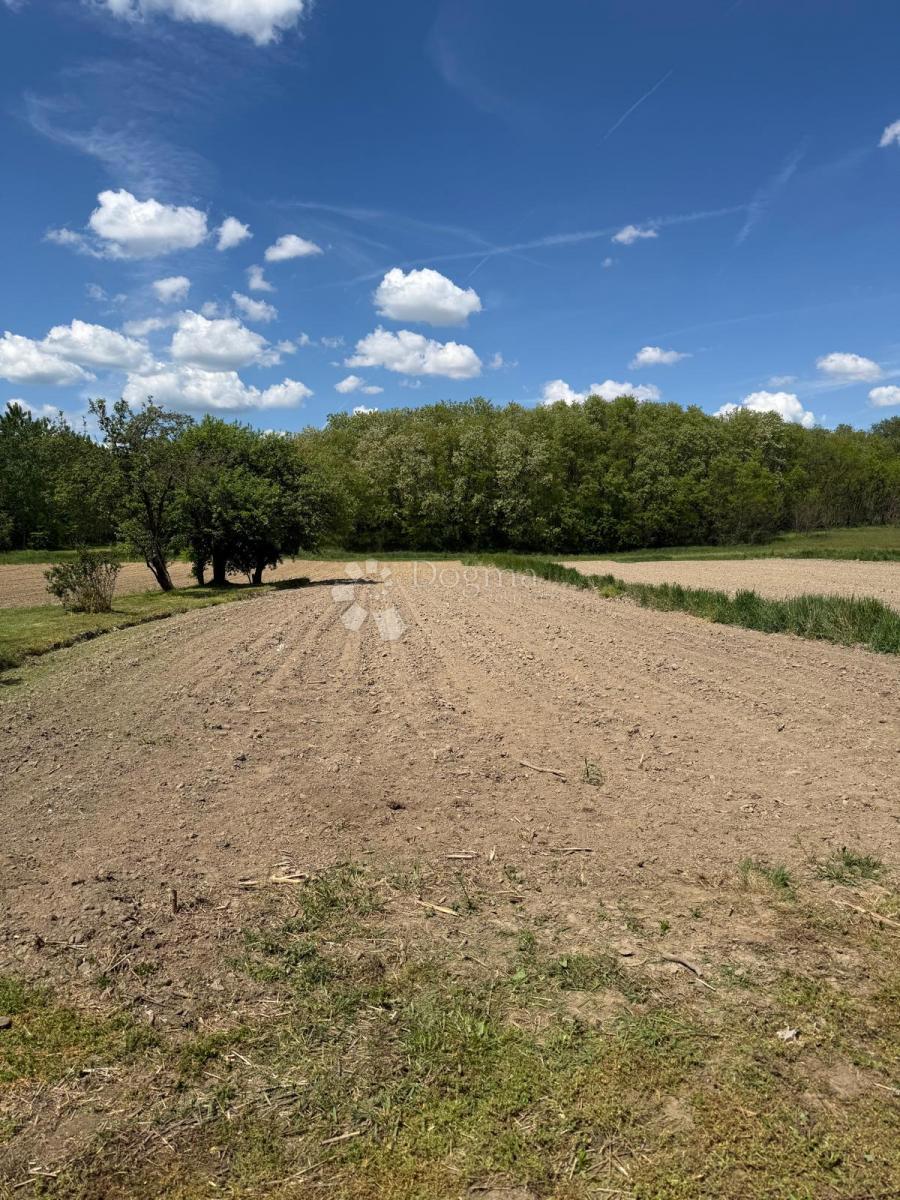 image 18