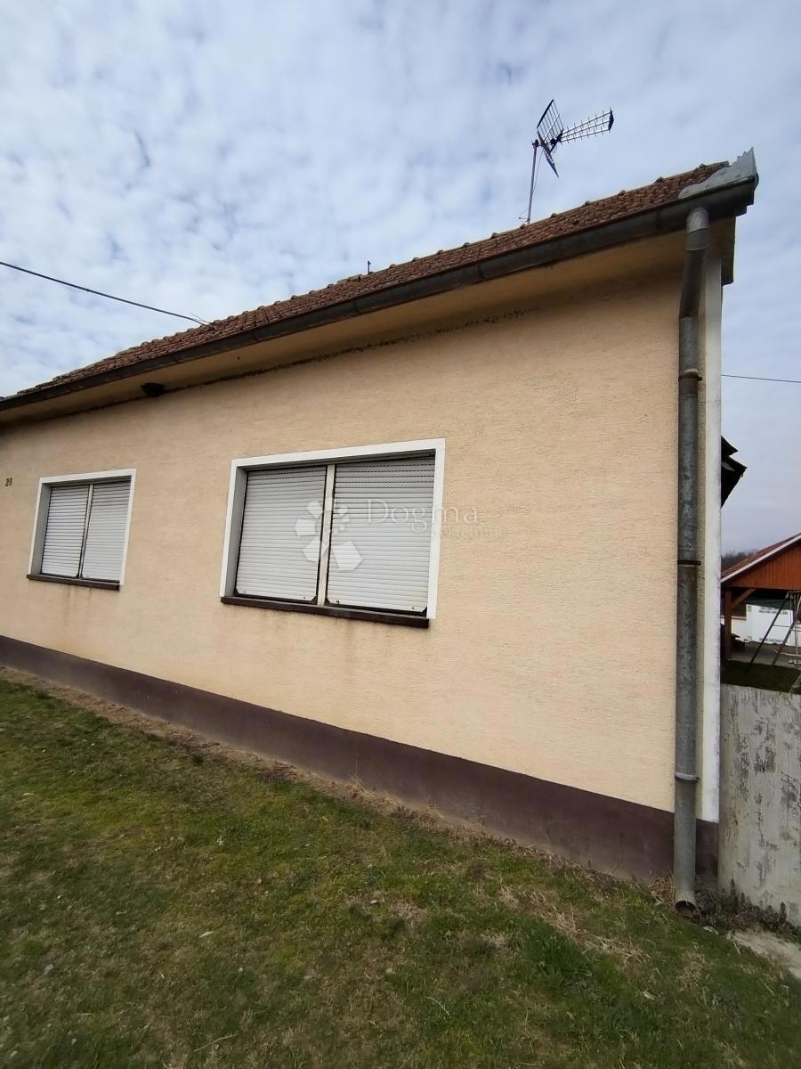 KOZAREVAC
