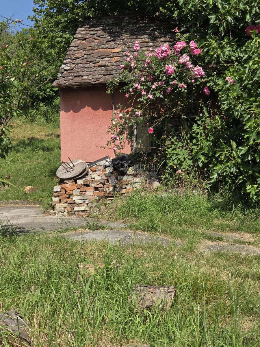 MARKUŠEVEC