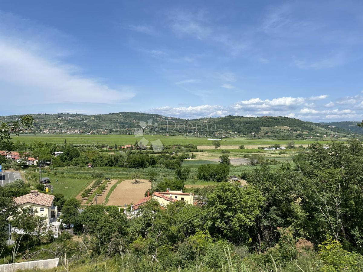 BUJE