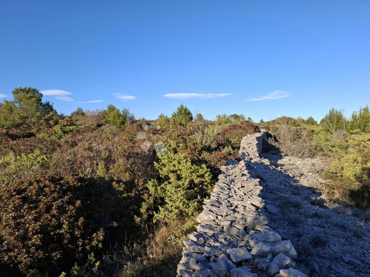 RAKALJ
