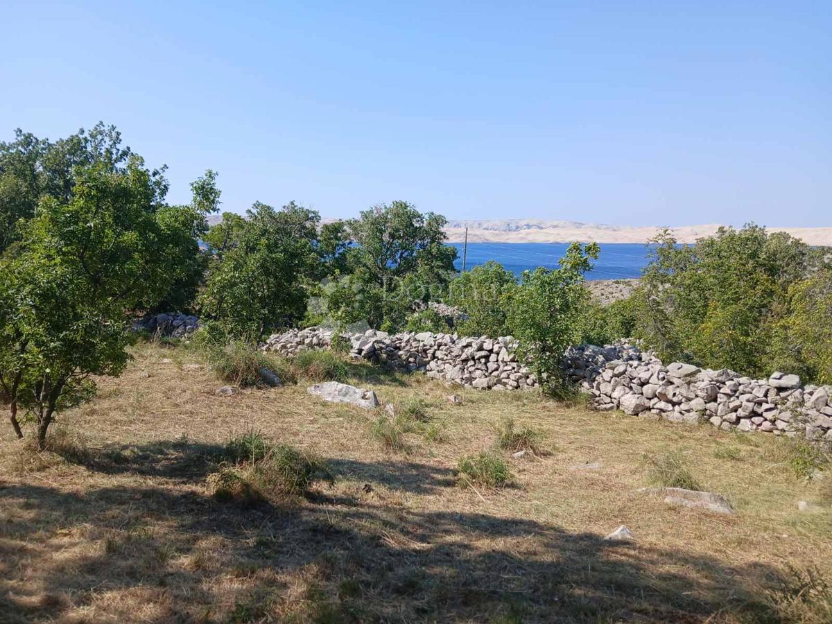 STANIŠTA