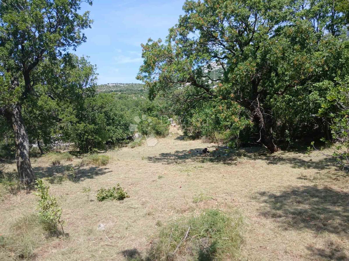 STANIŠTA