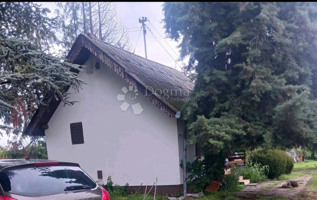 KNEŽEVI VINOGRADI