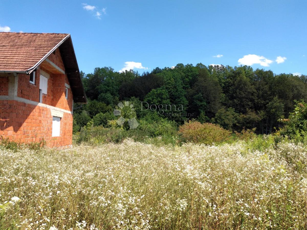 STARO SELO TOPUSKO