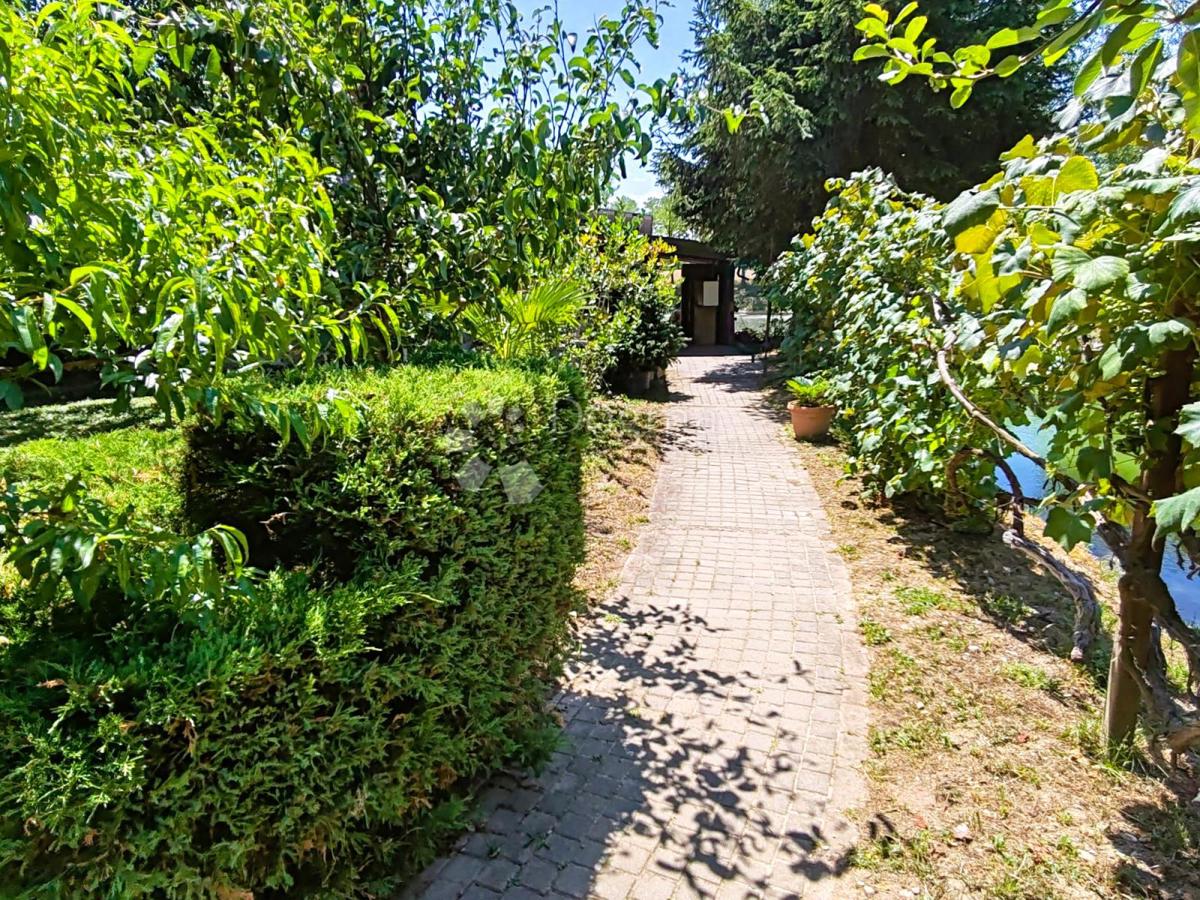 PETRIJANEC